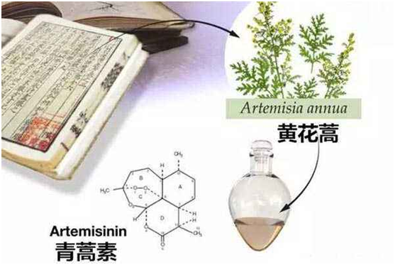 安博体育·(China)官方网站,登录入口：向中医药看齐，与世界共享中医药文化(图1)